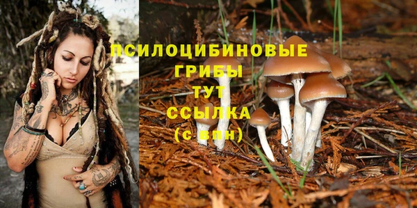 MESCALINE Абаза