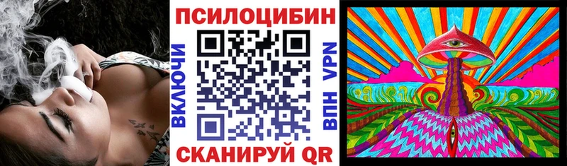 Галлюциногенные грибы MAGIC MUSHROOMS  Шенкурск 
